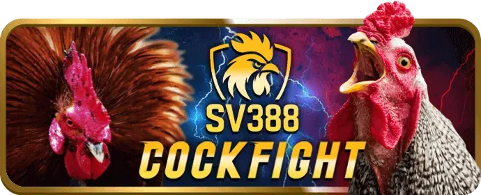 Hình ảnh minh họa các văn bản pháp lý của mb88 bet